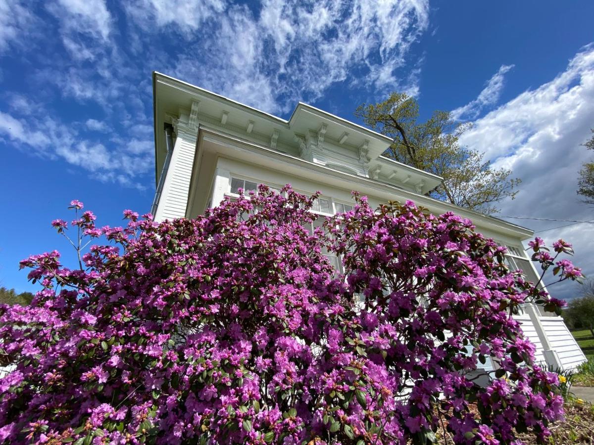 Bloom Farm Guesthouse Mount Vision Exterior photo